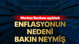Enflasyonun nedeni bakın neymiş